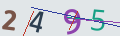 verifycode
